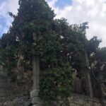 Zeuss Birthplace- Old Villages-Olive Oil Factory- Small Group - Exploring the Olive Oil Factory and Tasting Crete’s Finest Oils