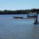 Zihuatanejo Ixtapa: Countryside Tour - Discovering the Coconut Plantation of Familia Gonzales