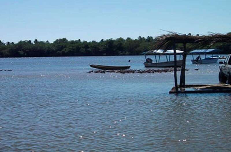 Zihuatanejo Ixtapa: Countryside Tour - Discovering the Coconut Plantation of Familia Gonzales
