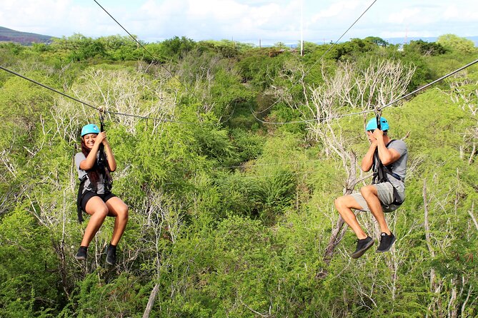 Zip and Dip: 3 Ziplines and Wet n Wild Waterpark - The Zipline Ranges and Their Features