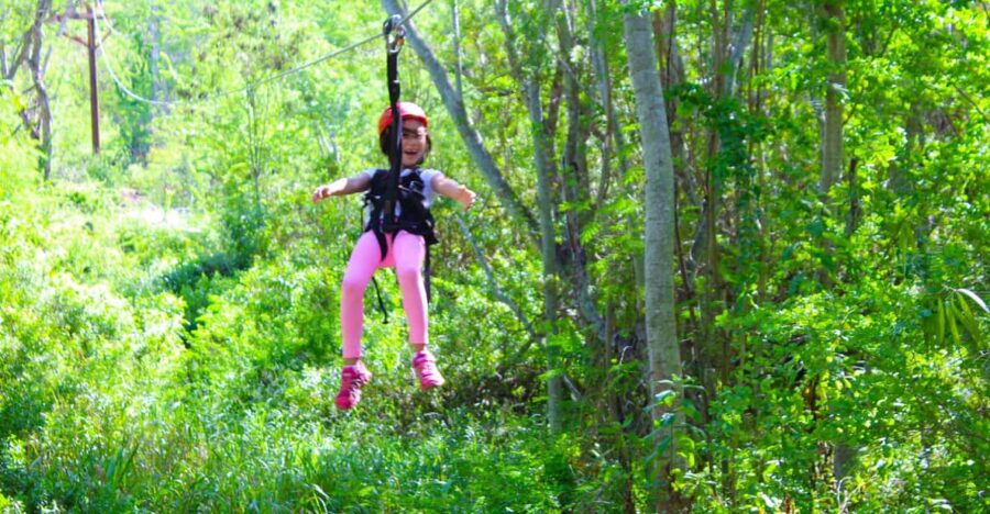 Zip & Dip: 3 Ziplines + Wet 'n' Wild Hawaii Waterpark - Exploring Coral Craters Jungle on Guided Ziplines