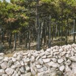 Zipline Experience Krk - Starting at the Glagolitic Alley: The Meeting Point