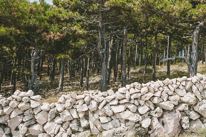 Zipline Experience Krk - Starting at the Glagolitic Alley: The Meeting Point