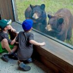 Zoo Miami Ticket with Optional Upgrade - What Animals Will You See in the Cageless Enclosures?