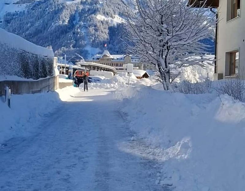 Zurich: Titlis Engelberg and Luzern Full-Day Private Tour - Starting Your Day with Hotel Pickup in Zurich