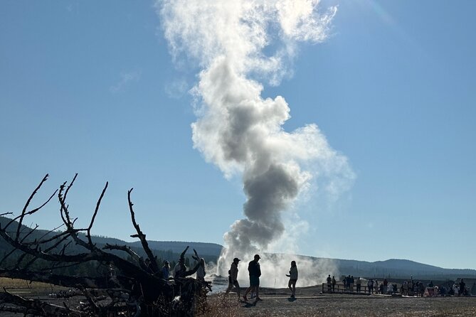 #1 Special Yellowstone Hot Spots Lower Loop From Cody Wy! - Wildlife and Geysers at Hayden Valley and Fountain Paint Pot