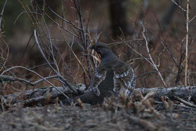 2-Day Private Yellowstone Tour(Lower and Upper Loops w Iconic Sites) w Lunch - Exploring Yellowstone’s Geothermal Features