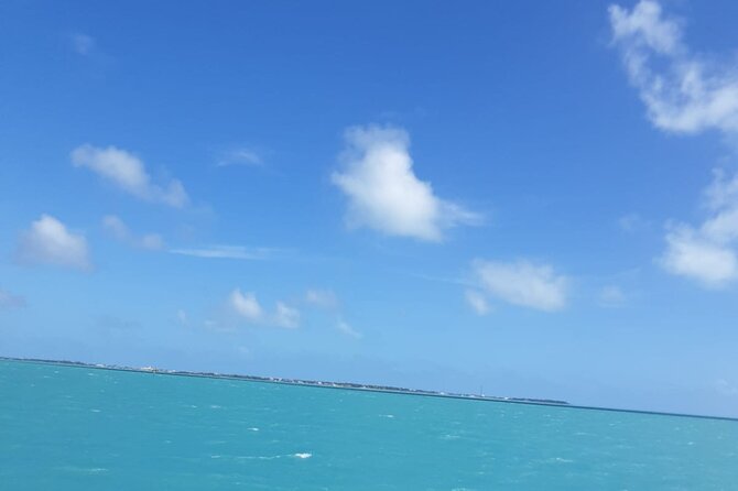 3-Day Miami Beach with Miami Bus/Boat Tour, Everglades and Keywest boat Tour - Exploring the Everglades: Nature and Wildlife Encounter