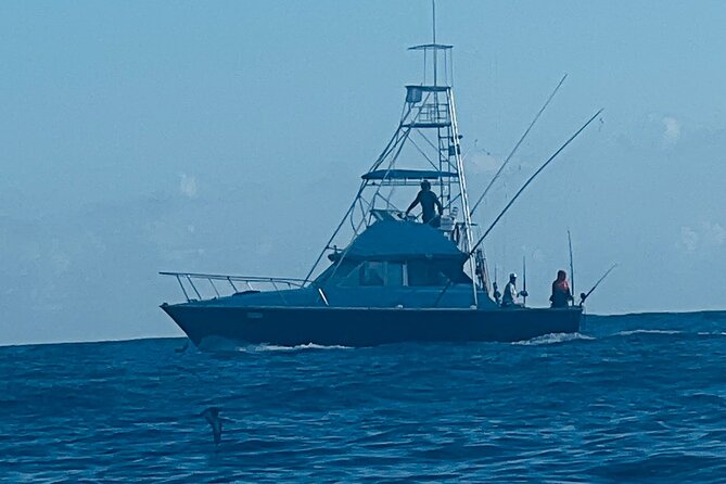35 foot Bertram 4 Hour Charter - Captain Harry’s Expertise and Local Knowledge
