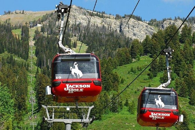 4 Days Yellowstone and Grand Teton Adventure from Salt Lake City - Visiting Jenny Lake and Jackson Lake Overlook