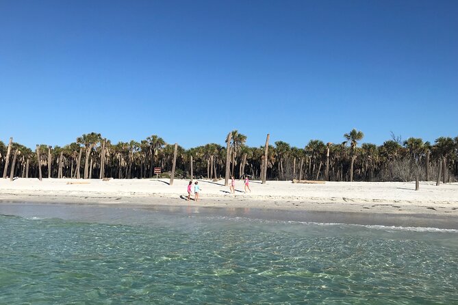 4-Hour St. Pete Pier to Egmont Key Experience by Ferry - Exploring Egmont Key: Beaches and Nature