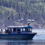 7 Hour Big Animal Encounter - Guaranteed Whale Sightings and Marine Encounters