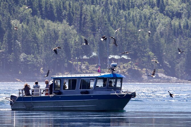 7 Hour Big Animal Encounter - Guaranteed Whale Sightings and Marine Encounters