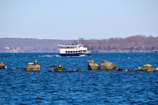 75 Minute Seal Watching Tour from Wickford - Inside the Cozy and Weatherproof Coastal Queen