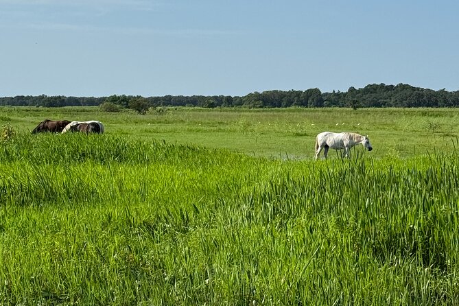 90 Minute Airboat Tour in the Florida Everglades - The Starting Point at Neptune Road in Kissimmee