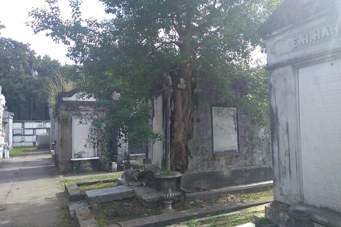 A Local's Garden District Tour - The Tour Starts at the Mississippi River for a Historic Overview