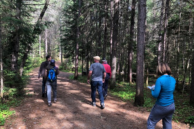 All-Inclusive Camp & Tube At Elora Gorge (2 Day) - Exploring Elora Gorge and Surrounding Highlights