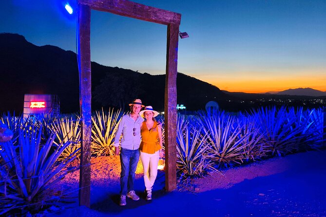 Alma Tequilera Flavors Tradition and Feast - Visiting the Exclusive Tequila Cava de Oro Distillery