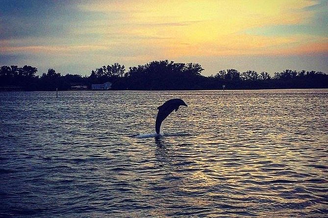 Anna Maria Island Dolphin Sunset Boat Tour - Starting Point at Waterline Villas & Marina