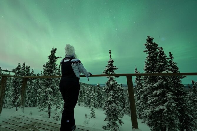 Aurora Oval Nightly Northern Lights Chase - Pickup and Logistics in Fairbanks and North Pole