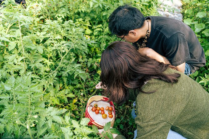 Authentic Cooking Class in Chinampa Xochimilco - Making Authentic Salsa and Handmade Tacos