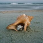 Bachelor/Bachelorette Party Adventure Tour - The Comfort and Design of the Pathfinder Bay Boat