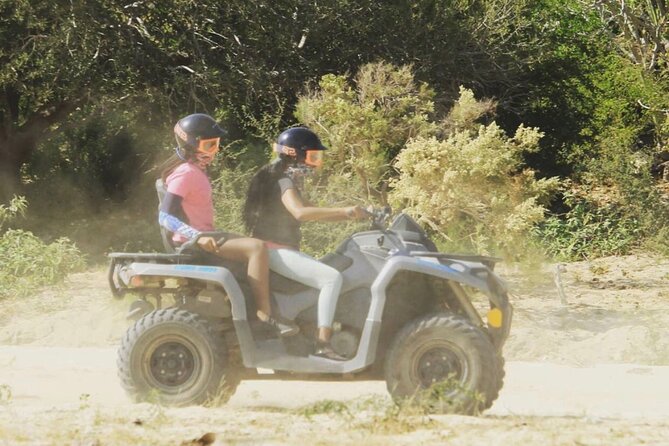 Baja's ATV Desert and Beach Tour - The Route: Desert, Mountain, and Beach