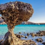 Balandra and La Paz Todos Santos and Hotel California from Los Cabos - Starting Early: Early Morning Pickup from Los Cabos