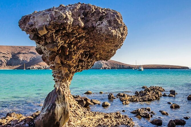 Balandra and La Paz Todos Santos and Hotel California from Los Cabos - Starting Early: Early Morning Pickup from Los Cabos