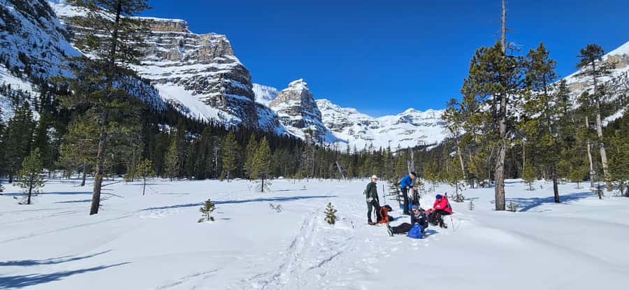 Banff: Chickadee Valley Snowshoe & Marble Canyon Walk - Starting from Kootenay National Park: The Snowshoeing Begins