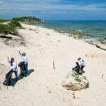 Beach Guardians Clean up & Picnic plus Otoch Mayan Experience - Participating in the Beach Guardians Cleanup