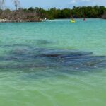 Beginner One Hour Guided Kayaking and SUP Activity - Starting Point at Bonita Springs for Easy Access