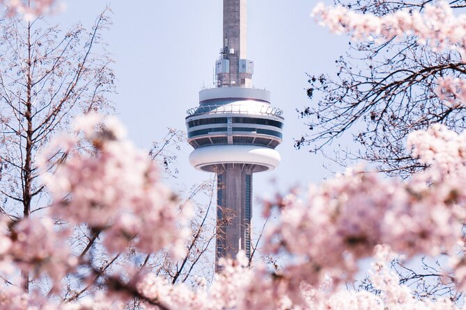 Best of Toronto City Tour with Boat Cruise & CN Tower - Scenic Water Views on the Toronto Harbour Cruise
