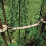 Best of Vancouver Highlights /Suspension Bridge/ Free Pizza Party Tour Private - Exploring the Charm of Gastown and Its Steam Clock