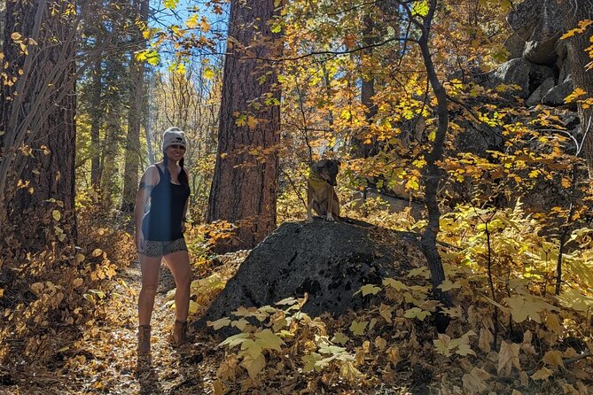 Big Bear Fall Colors Hiking Tour in Southern California - The Local’s Guide to Big Bear’s Fall Foliage