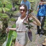 Big Island Jungle Tour with Banana and Guava Green Tea - Starting Point and Location Details