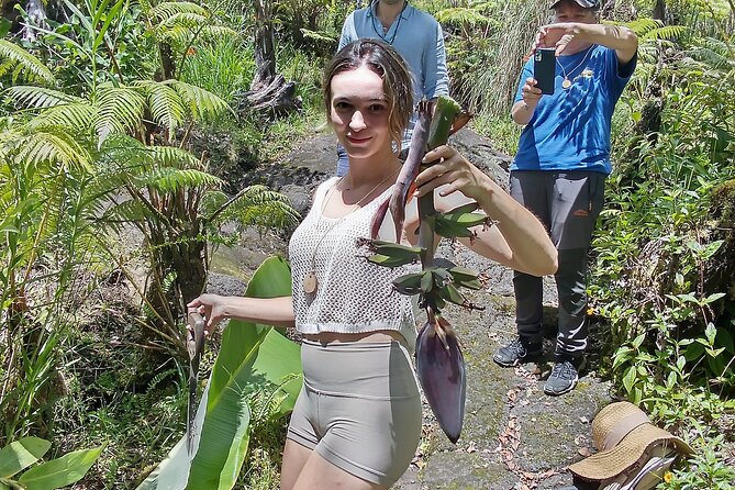 Big Island Jungle Tour with Banana and Guava Green Tea - Starting Point and Location Details