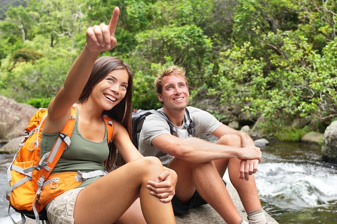 Big Island Waterfall Swim and Hike with Hilo Cruise Ship Pickup - How the Waterfalls Are Accessed and Experienced