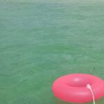 Boat Excursion in Florida Keys with Snorkeling Equipment - Departure from Cow Key Marina