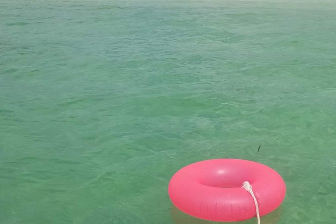 Boat Excursion in Florida Keys with Snorkeling Equipment - Departure from Cow Key Marina