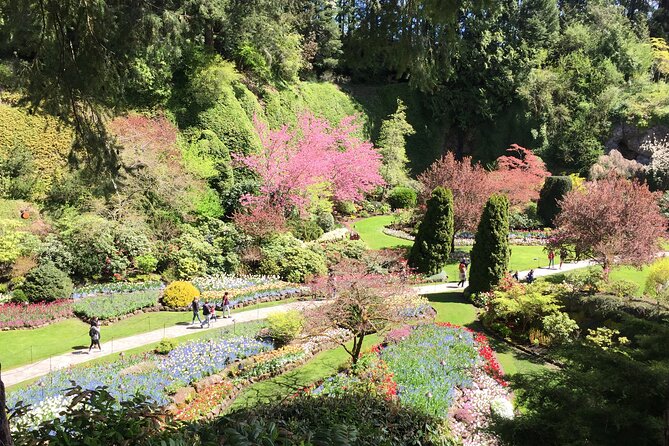 Butchart & Beyond: The Grand Victoria Tour - Exploring Victoria’s Wineries and Gardens