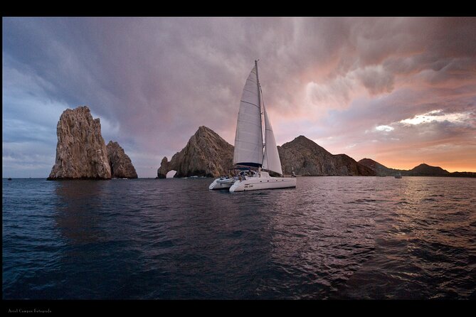 Cabo San Lucas Sunset Catamaran Cruise with Open Bar - Encountering the Lively Sea Lion Colony
