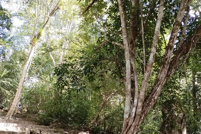 Calakmul and Bat Cave Tour from Bacalar - The Bat Cave Experience at Sunset