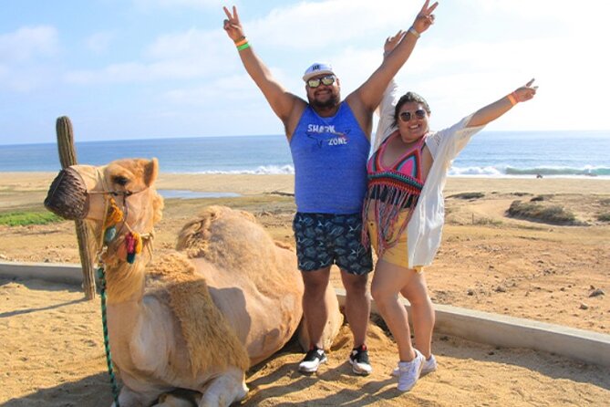 Camel Beach Ride Adventure in Los Cabos with Tequila Tasting - Inside the Camel Sanctuary and Desert Safari