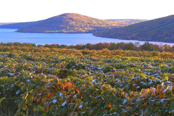 Canandaigua Wine Trail Experience - Visiting Arbor Hill Grapery & Winery