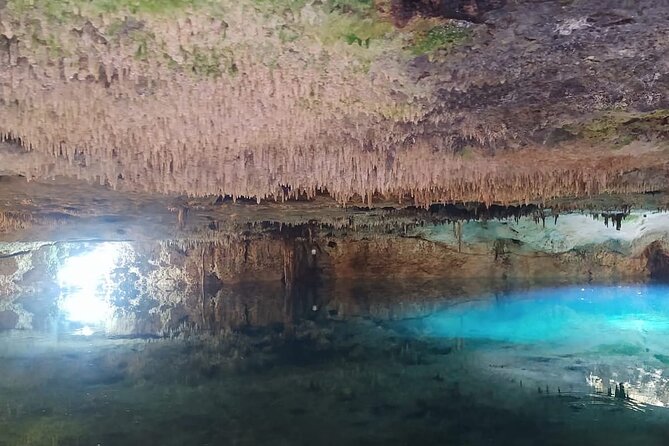 Cancun Adventure Tour with Ziplines, ATVs and Cenote Swim - Ziplining and Hanging Bridges Among the Tree Canopy