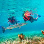 Cancún: Puerto Morelos Reef Snorkeling Tour & Seaside Lunch - Snorkeling at the Magnificent Great Mayan Reef