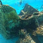 Cancun Snorkeling Adventure - Five Exciting Snorkeling Spots in One Tour