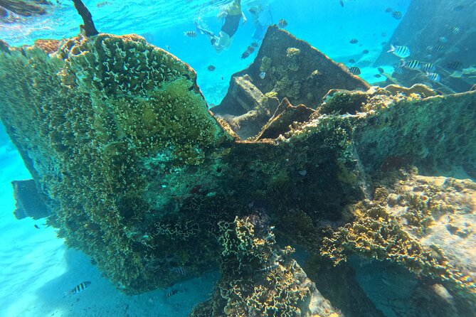 Cancun Snorkeling Adventure - Five Exciting Snorkeling Spots in One Tour