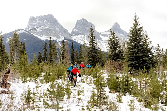 Canmore Explore Winter Wildlife Tracks 2hr Nature Walk - The Experience of Wildlife Tracking and Plant Identification